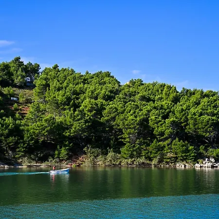 Bazdaric Apartment Novigrad (Dalmatia)